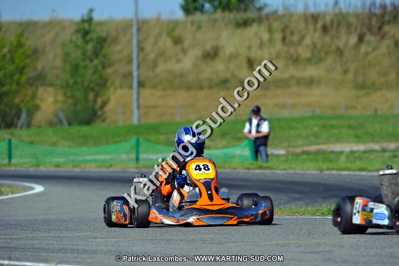 DSC_ (1731).jpg